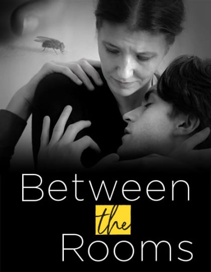 Artwork for Between the Rooms