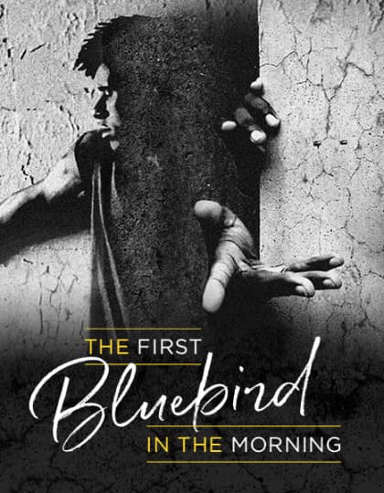 Artwork for The First Bluebird in the Morning